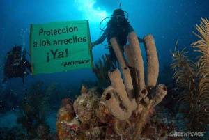 proteccion-arrecifes-mexico-greenpeace-p